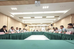 凝聚民企力量，共绘发展新蓝图——巴中市新联会民营和外资企业分会座谈交流活动成功举行