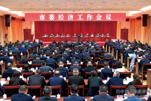 市委经济工作会议举行 鲜荣生 高鹏凌讲话　李映 王祥兵出席