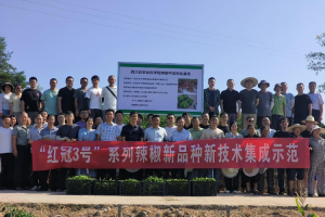 平昌县举办“红冠3号”辣椒新品种新技术集成示范现场会