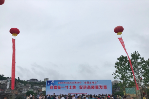 恩阳区自然资源和规划局：多种形式开展“土地日”宣传活动
