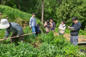 川黔两地专家联合赴巴中开展石菖蒲、黄精样本采集及基源鉴定