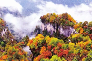 第二十四届四川光雾山国际红叶节乐享金秋嘉年华启幕