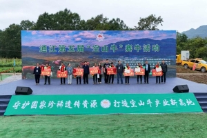 以赛聚智兴牛业 种源筑链启新程 第五届通江空山牛赛牛活动开赛