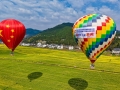 巴中平昌：乘热气球打卡花海 解锁春日赏花新玩法