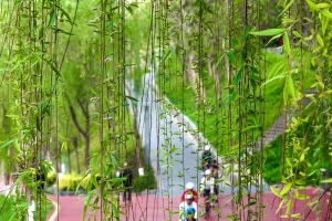 宜居巴城 全龄暖心