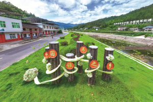 一朵银耳 “开”出百亿级产业集群