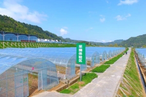 “沉睡”到“奔流” | 恩阳：农村资源变现的密码～