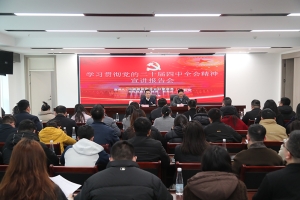 坚持学思用贯通知信行统一 推动党的二十届四中全会精神在集团落地见效