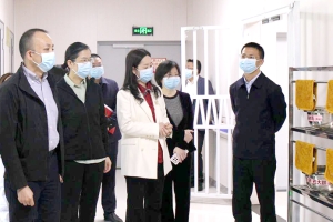 省医保局到巴中调研医保基金专项整治工作