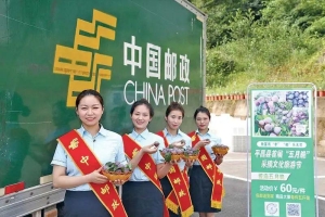 巴中邮政系统助力城市文明建设获表彰