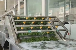 一颗青花椒何以“链”就千万产值?