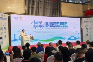 “川”越千里“浙”样精彩！ 巴中优特产品闪耀杭州