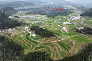 决胜“十四五” 巴州新跨越丨⑫金色田野三色辉 鼎山蓝图万象新