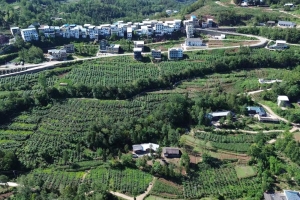 文旅康养胜地   产业富民强镇——平昌县镇龙镇