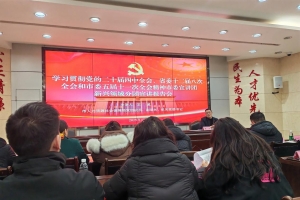 锚定发展航向 践行人社担当——巴中市人社局以全会精神绘就民生保障新蓝图