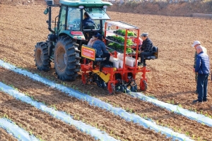 “铁牛”一过苗成行！全省首批“滴灌+覆膜+移栽”一体机在平昌投用