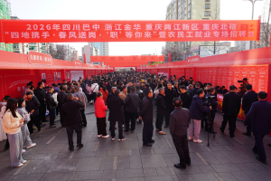 巴中市举行2026年四川巴中 浙江金华 重庆两江新区 重庆北碚“四地携手·春风送岗·‘职’等你来”暨农民工就业专场招聘会