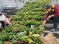 新绿满城 红旗漫卷——巴中城区焕新迎国庆