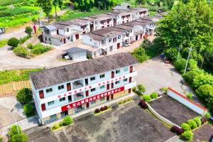 恩阳区：社区没了保洁员，为啥反而更干净？