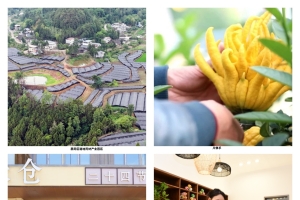 聚力医药健康产业  守护全民健康福祉 ——巴中市恩阳区卫生健康局