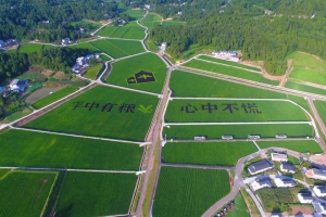 沃野逐梦，一片振兴拔节声！