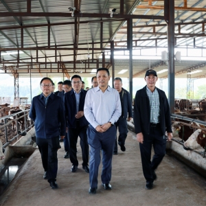 四川省政协副主席刘成鸣率调研组到巴中市调研牛羊产业发展情况 ... ...