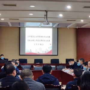 市住建局召开全市建筑企业资质审批突出问题系统治理、信用建设暨建筑业发展工作专题会 ...