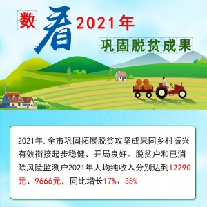 “数”看2021年巴中市巩固脱贫成果