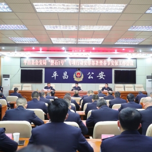 平昌县公安局召开“磐石1号”专项行动暨春节安保工作安排部署会议 ...