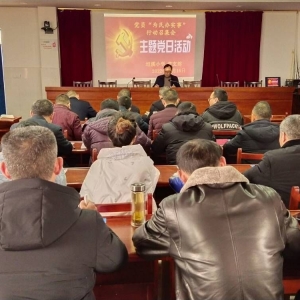平昌县坦溪小学党支部利用主题党日开展“为民办实事”行动 ...