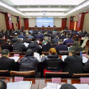 巴州区召开2022年卫生健康暨医疗保障工作会