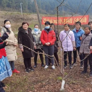 送科技下乡｜特派员助力巴州区春耕生产