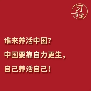 【学习时间】习近平为何再答“谁来养活中国”？