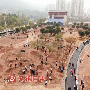 我市举行2022年春季义务植树活动 何平高鹏凌李映侯中文参加
