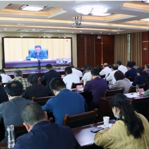 全省政协系统召开“双助”专项活动推进视频会议