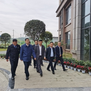 陈槟调研督导恩阳区卫生健康重点工作