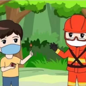 护林防火常记，青山绿水长存——平昌县土兴小学森林防灭火告学生家长书 ...