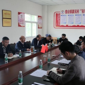 侯中文到巴州区鼎山镇康民村调研