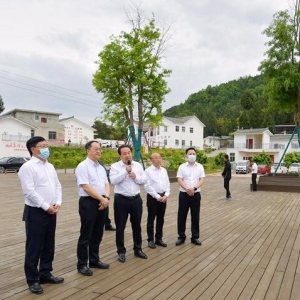 省政协副主席杜和平率队来巴中督导调研