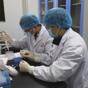 我市首次成功开展新型冠状病毒全基因组测序工作