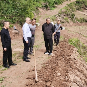 何源到至诚镇药洪村调研乡村振兴定点帮扶工作