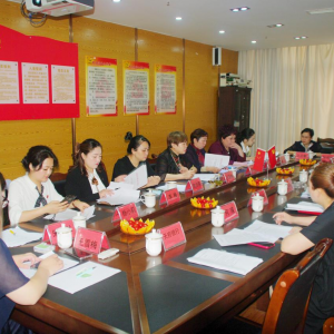 中共巴中市女企业家商会党支部开展主题党日活动