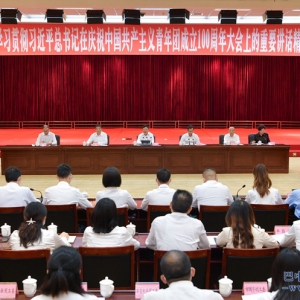 何平出席巴中市学习贯彻习近平总书记在庆祝中国共产主义青年团成立100周年大会上的重要讲话精神座谈会并讲话