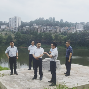 巴中市环委办深入平昌县对重点环保工作开展帮扶指导