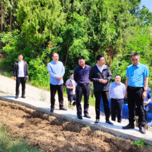 张登宪带队到南江调研土地例行督察发现问题整改落实情况