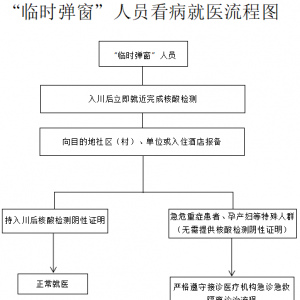 “临时弹窗”人员看病就医流程来了！