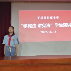 平昌县坦溪小学以活动促学生积极学宪法