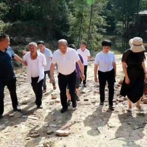 巴中市商协会到恩阳区兴隆镇关公庙村调研产业发展