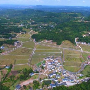 巴中市2条农村公路参评全国“2022年度十大最美农村路”