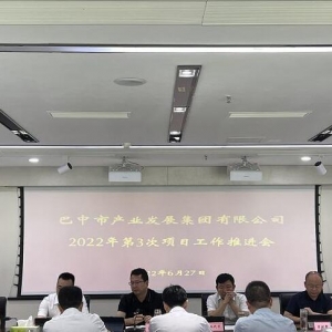 巴中市产业集团召开项目工作推进会